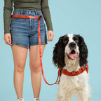 Person wearing a red dog leash with a dog on a blue background