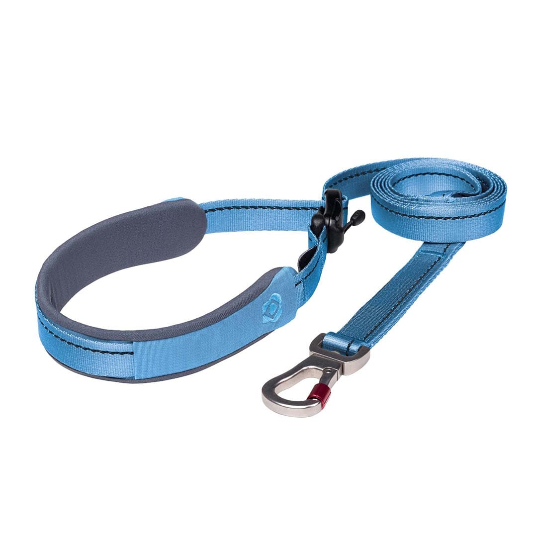 Blue dog leash with gray handle on a white background