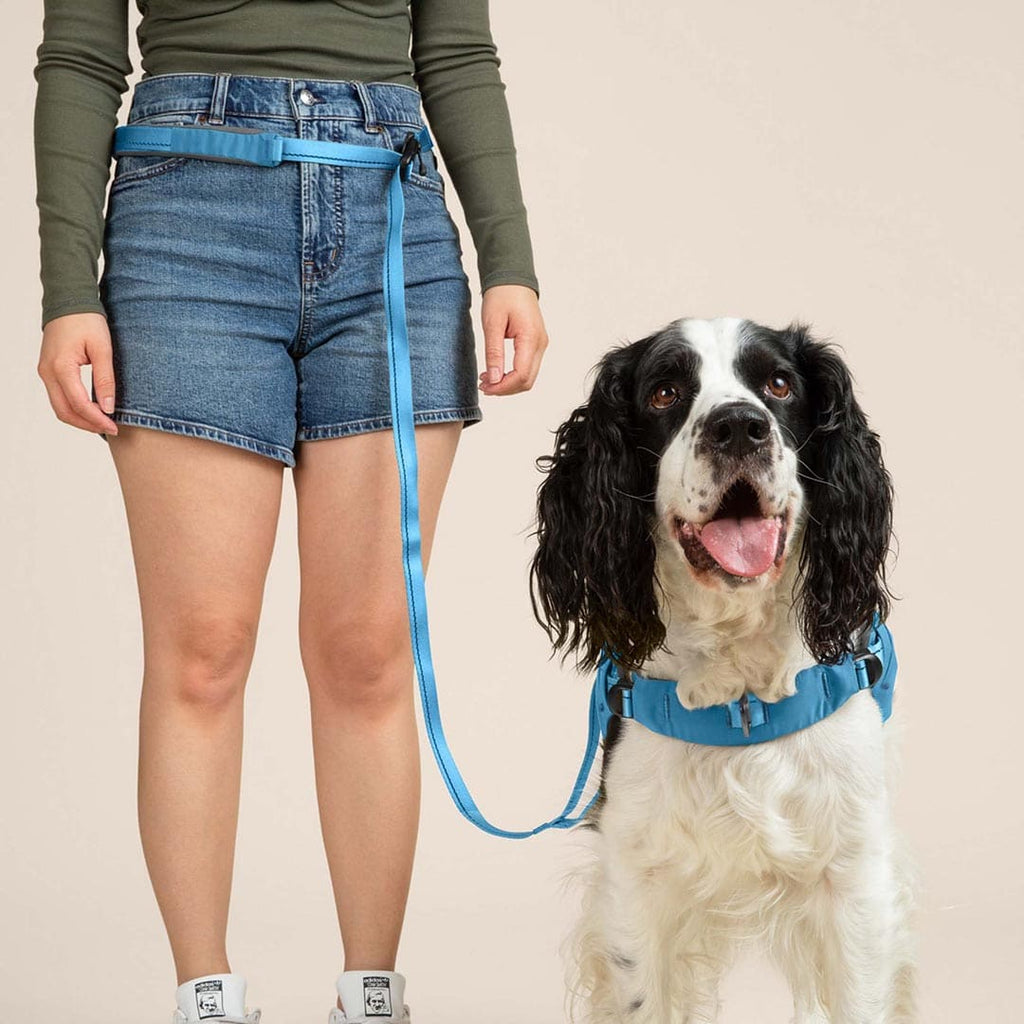 Person wearing a blue dog leash and collar with a dog on a beige background