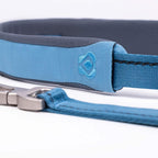 Close-up of a blue dog collar with a brand logo on a white background