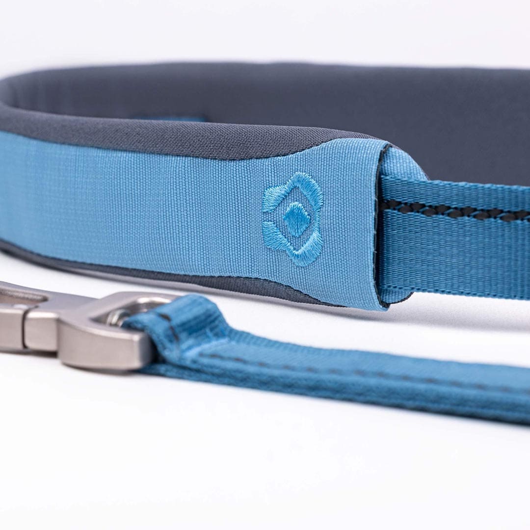 Close-up of a blue dog collar with a brand logo on a white background