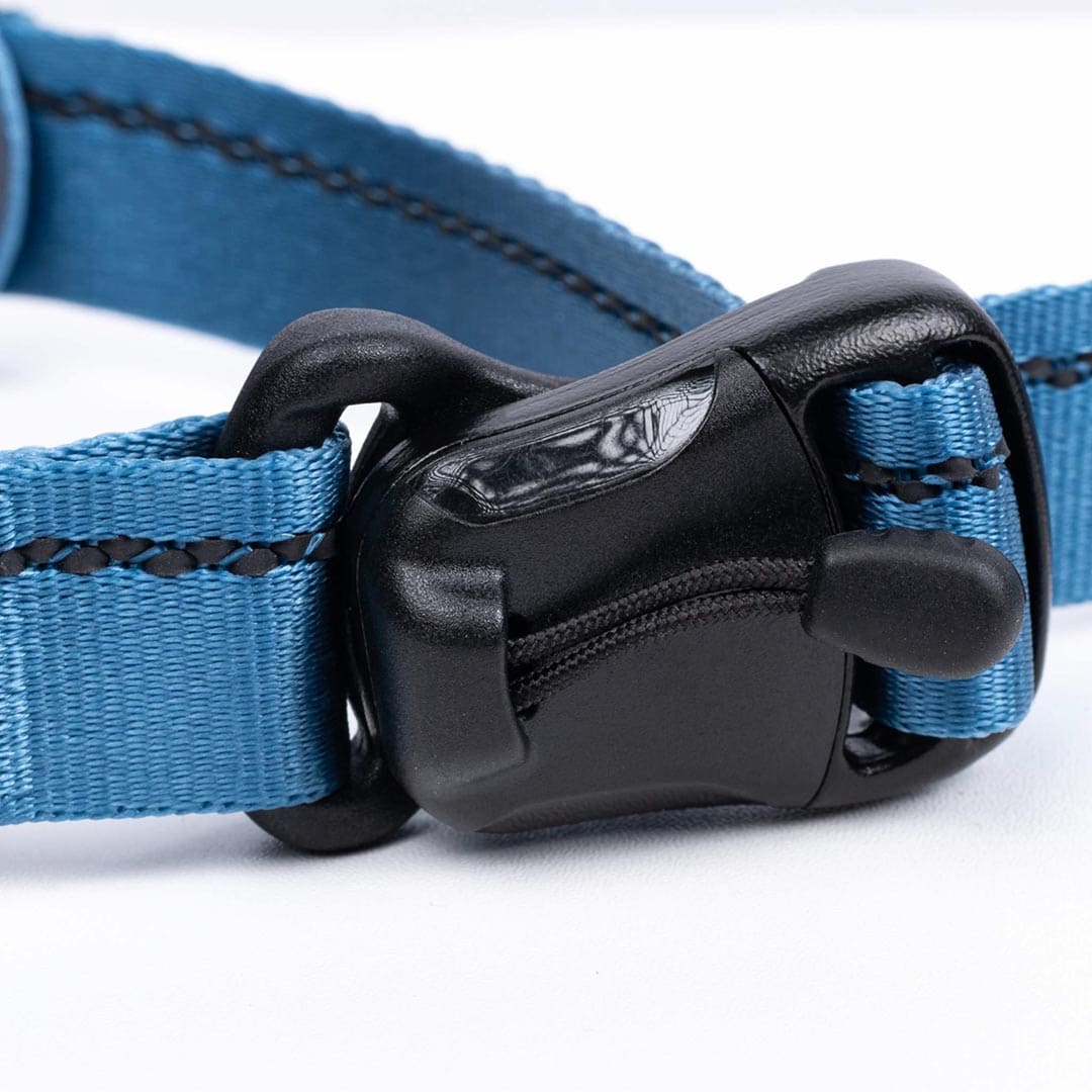 Close-up of a blue dog collar with a black buckle on a white background