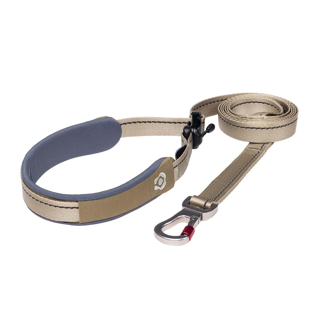 Dog leash with gray handle and metal clip on a white background