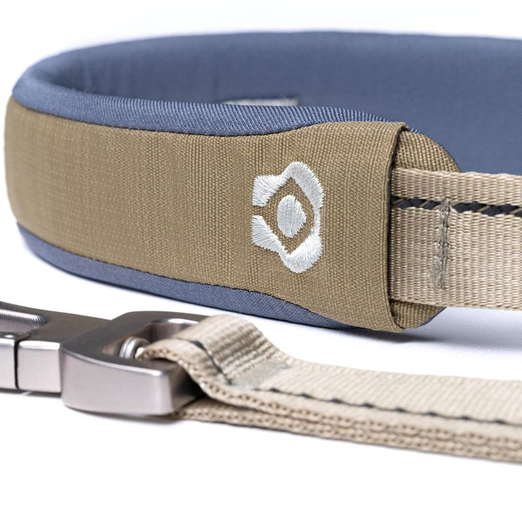 Dog collar with metal clasp on a white background