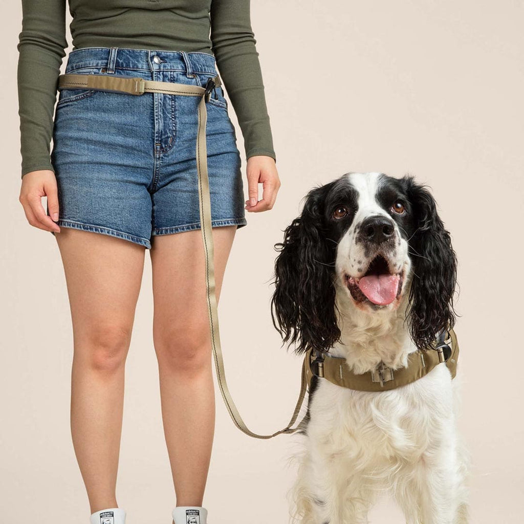 Person wearing a green shirt and blue shorts with a dog on a beige background