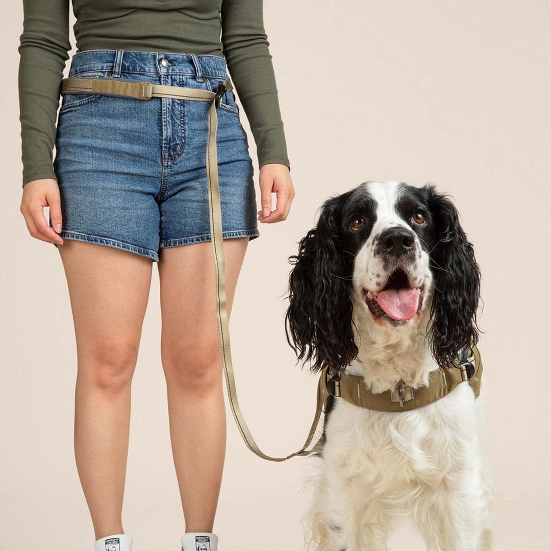 Person wearing a green shirt and blue shorts with a dog on a beige background