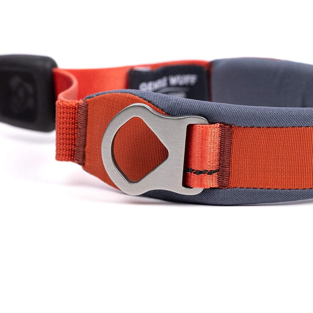 Dog quick grip with orange strap and metal buckle on a white background