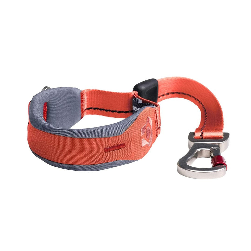 Orange and gray dog quick grip with metal clasp on a white background