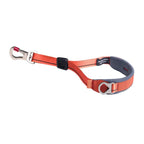 Dog leash with carabiner on a white background