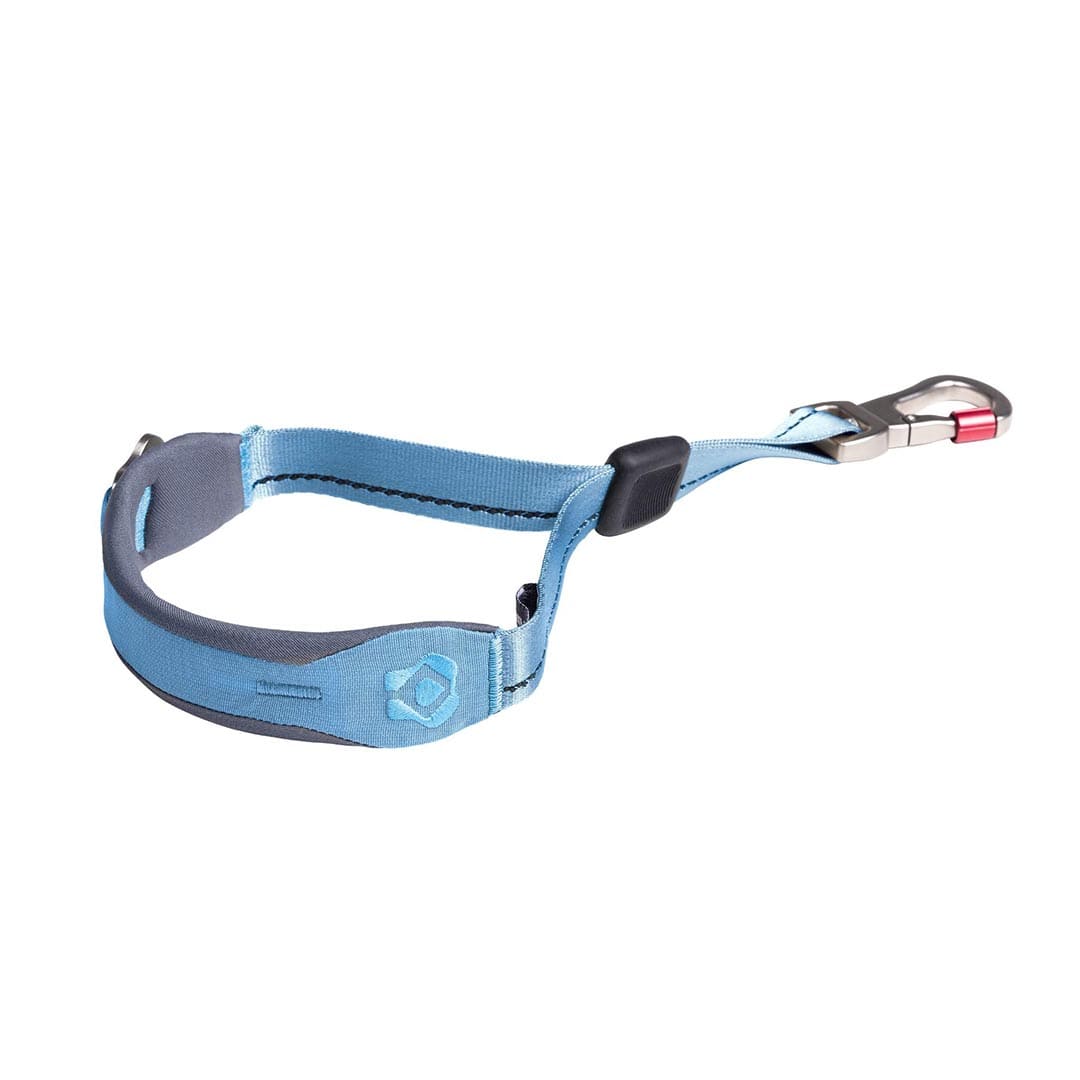 Blue dog quick grip with a clip on a white background