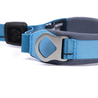 Close-up of a blue and gray dog quick grip with a metal buckle on a white background