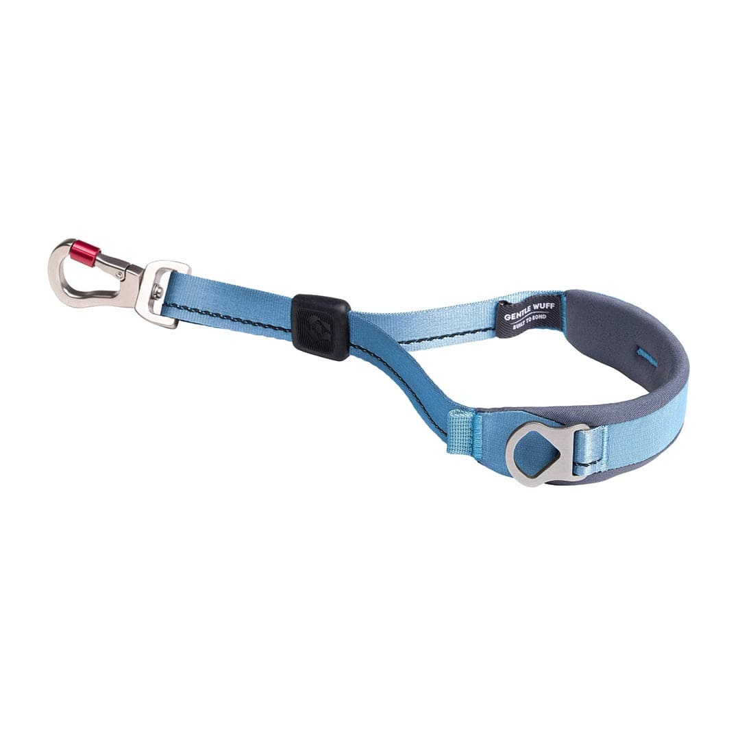 Blue dog quick grip with silver clasp on a white background