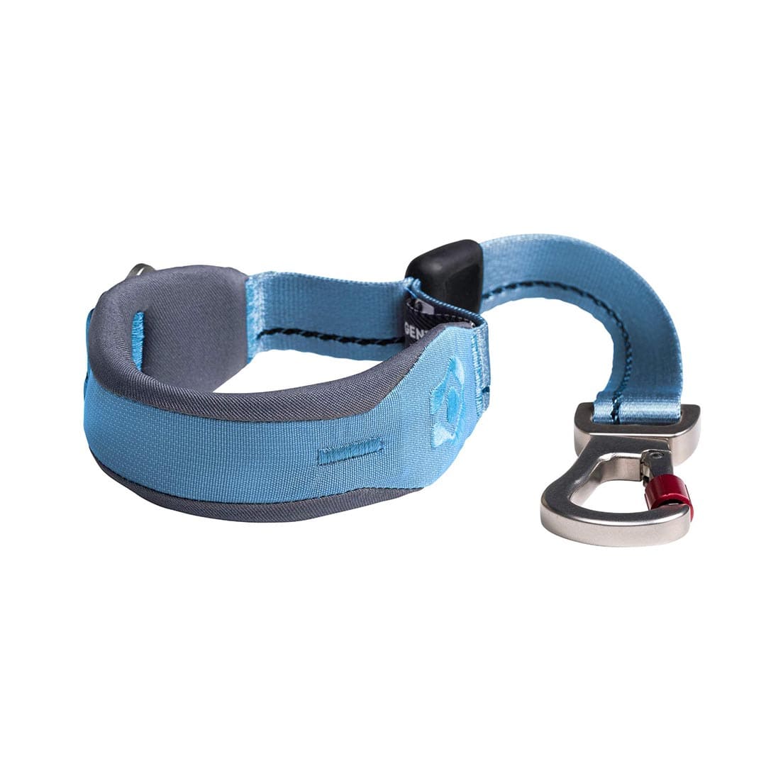 Blue and gray dog quick grip with a metal clip on a white background