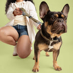 Person holding a pair of pliers next to a French Bulldog on a green background
