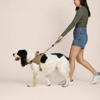 Woman walking a dog on a leash against a plain background