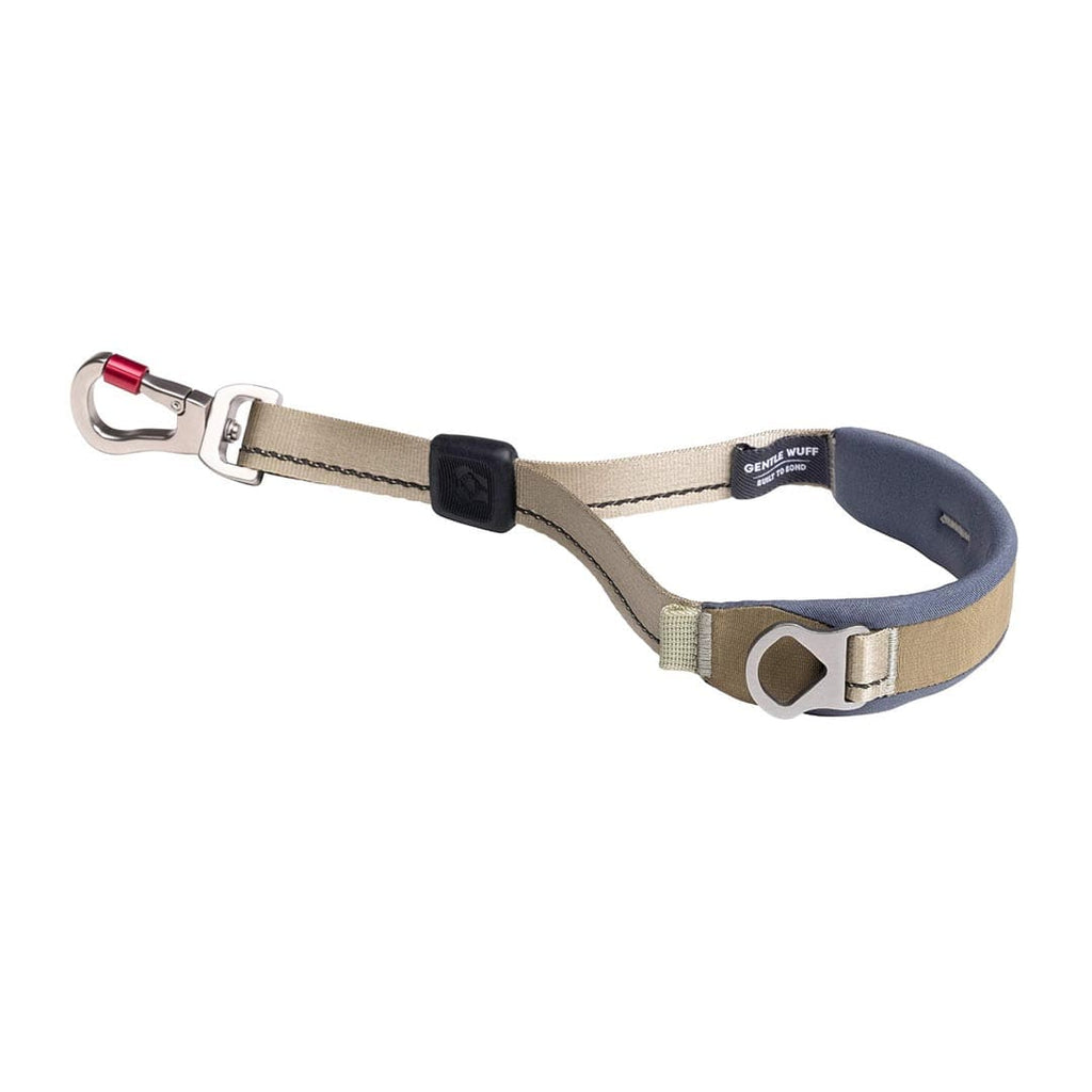Dog leash with clip on a white background