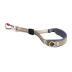 Dog leash with clip on a white background