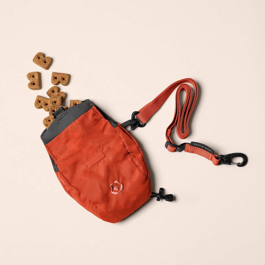 Snack Sack