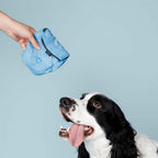 Snack Sack