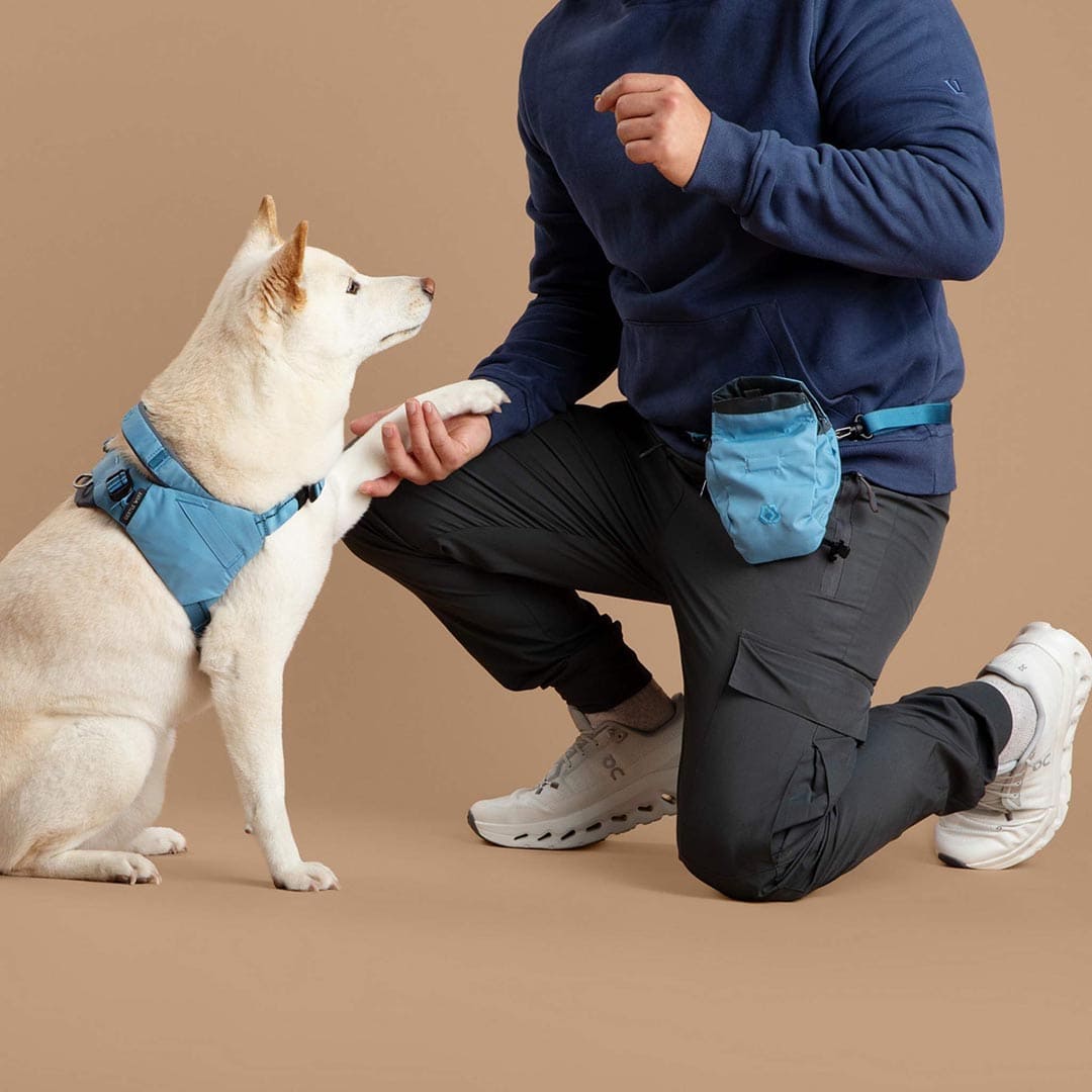 Snack Sack
