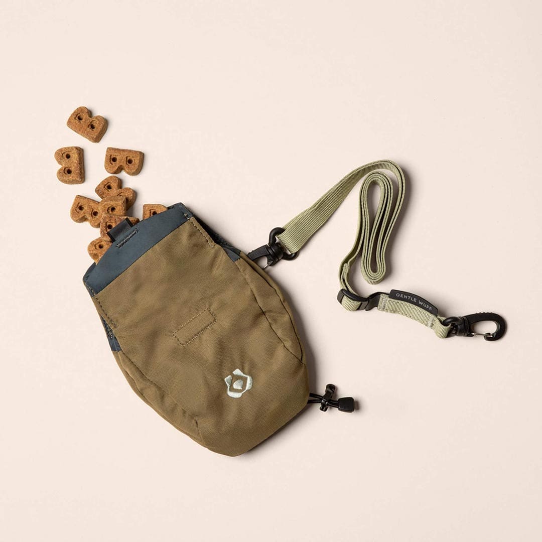 Brown dog treat bag with a leash on a beige background