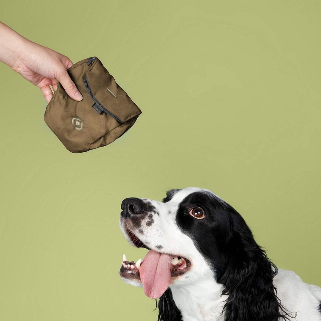Snack Sack