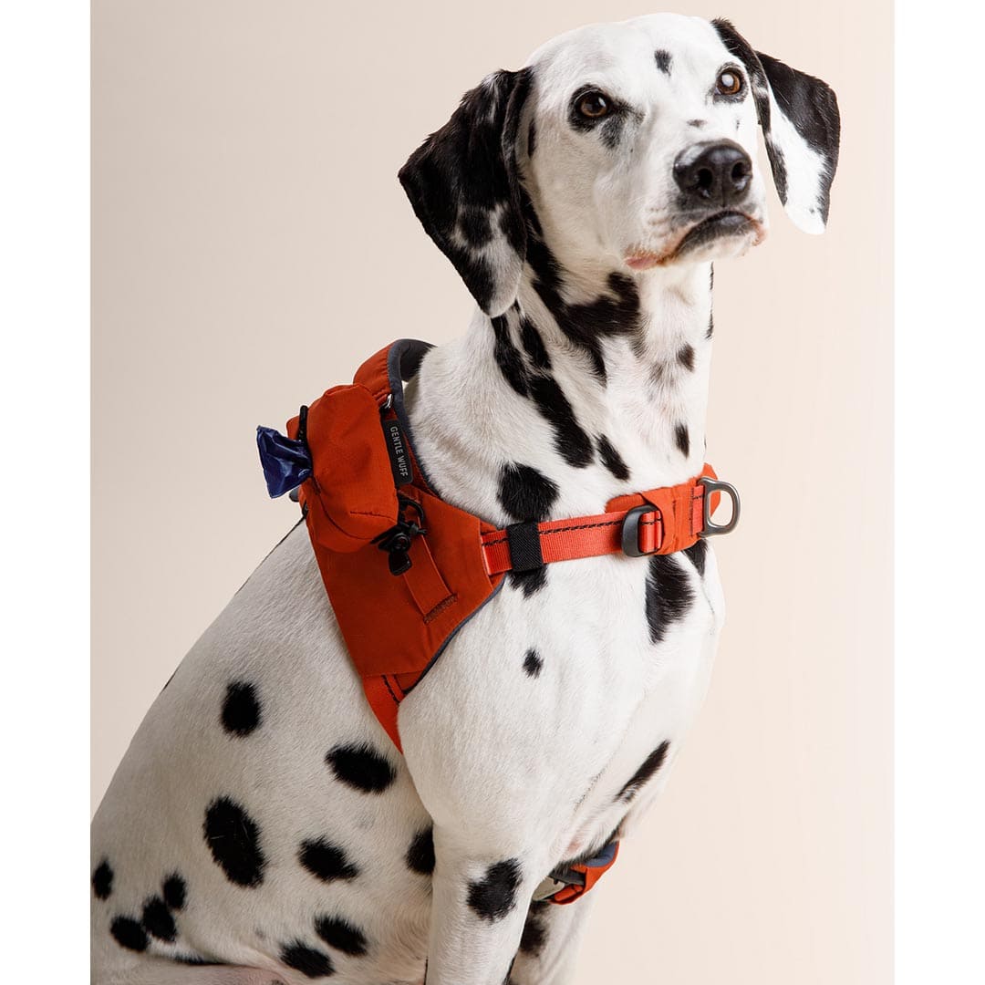 Ready-Go Harness
