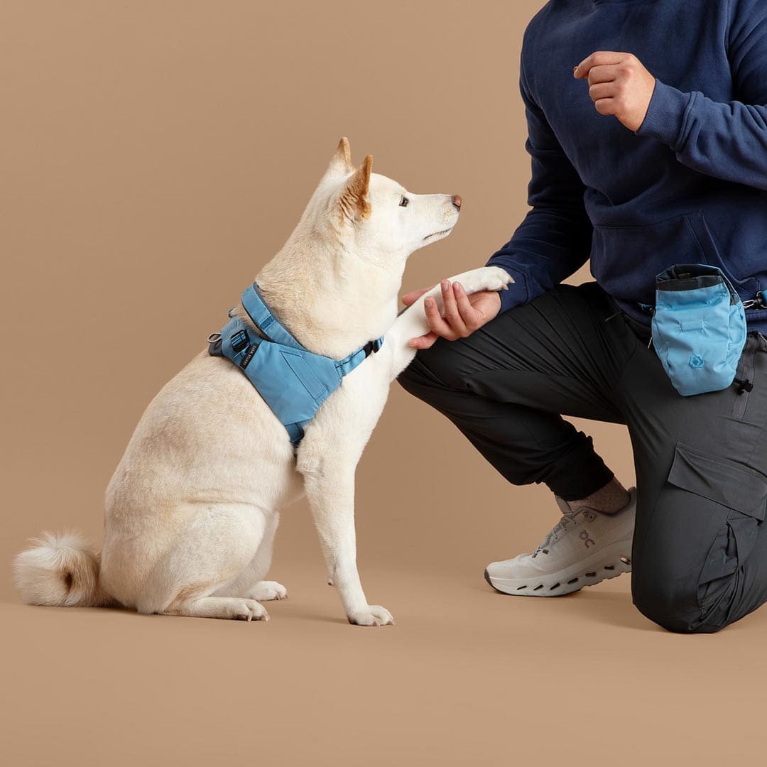 Ready-Go Harness
