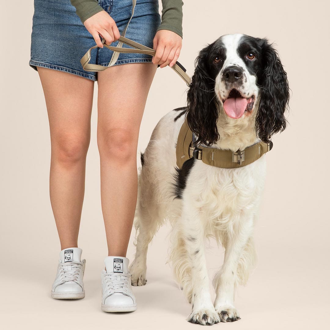 Ready-Go Harness