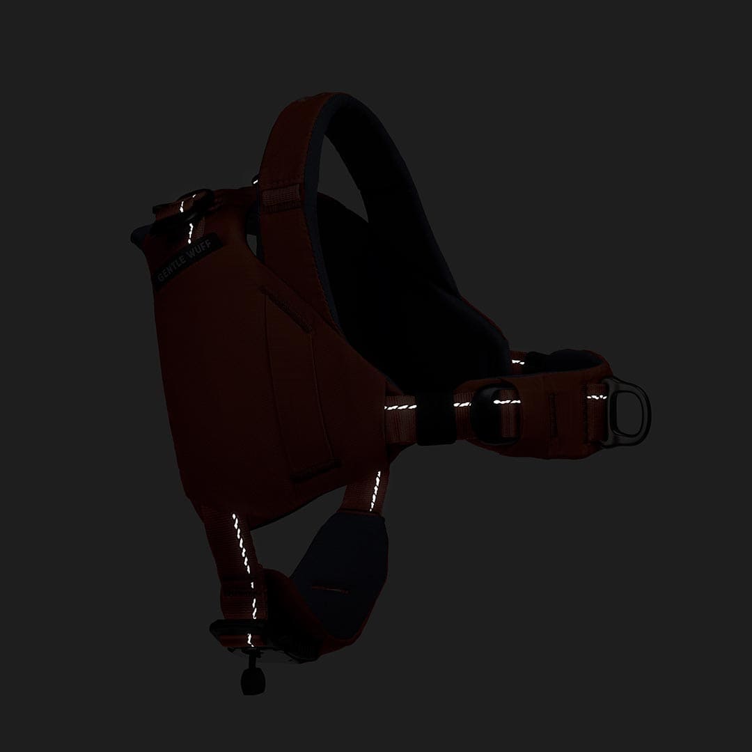 Dark brown leather bag with reflective accents on a black background