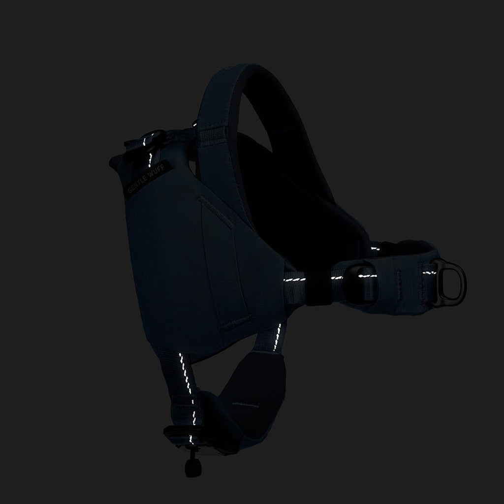 Dark-colored dog harness with reflective elements on a black background