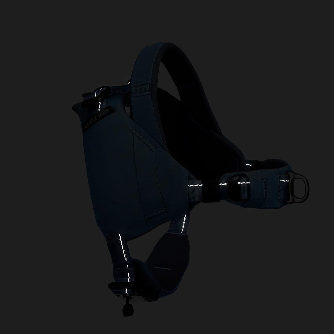 Dark-colored dog harness with reflective elements on a black background