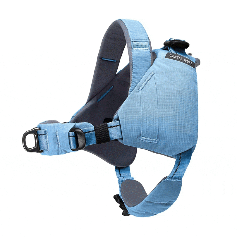 Ready-Go Harness
