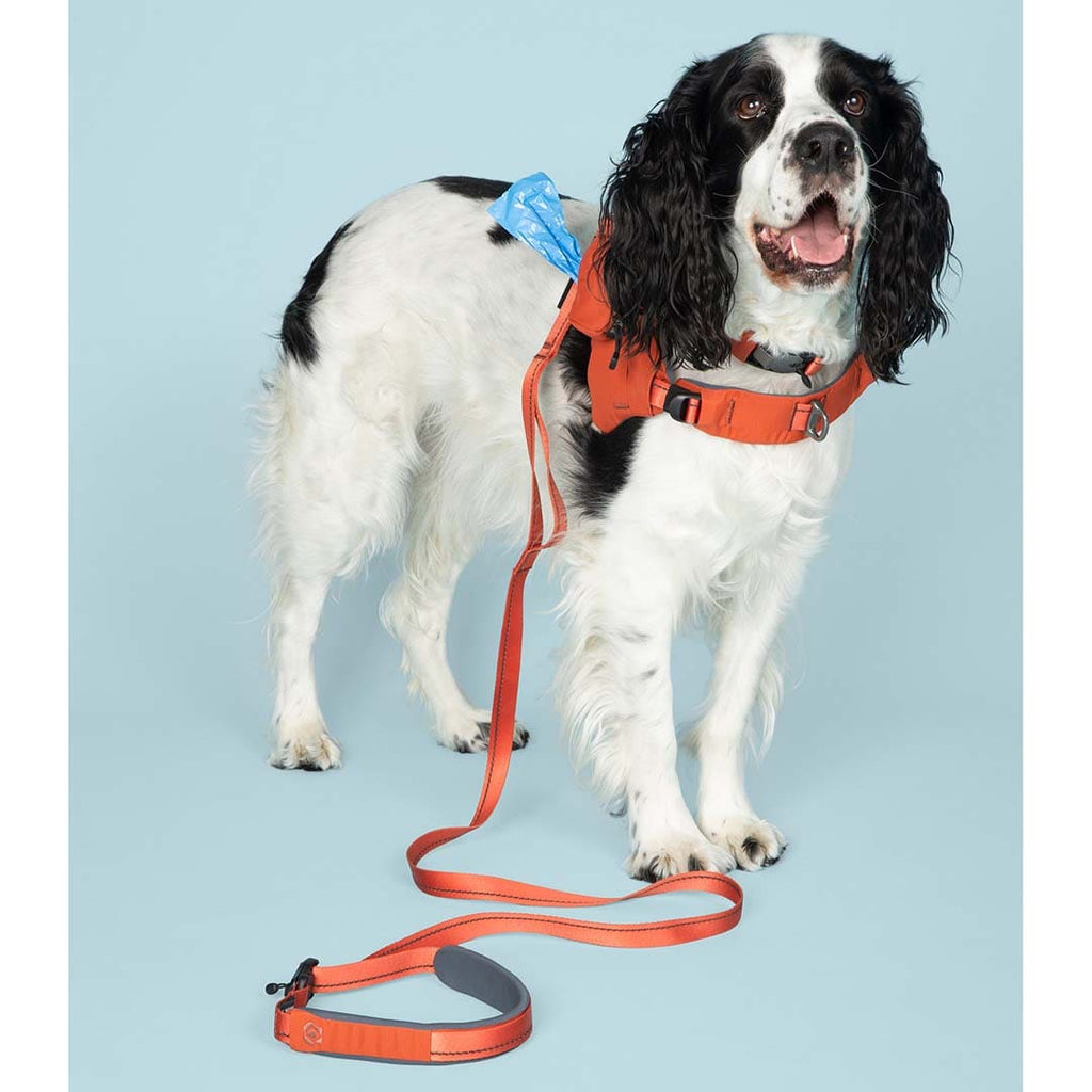 Ready-Go Leash