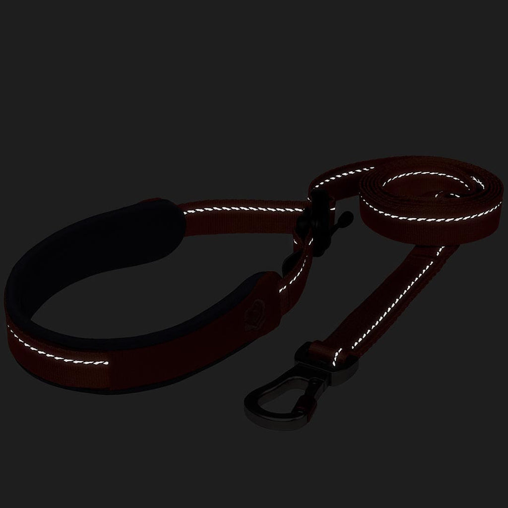 Reflective dog leash on a black background