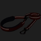 Reflective dog leash on a black background