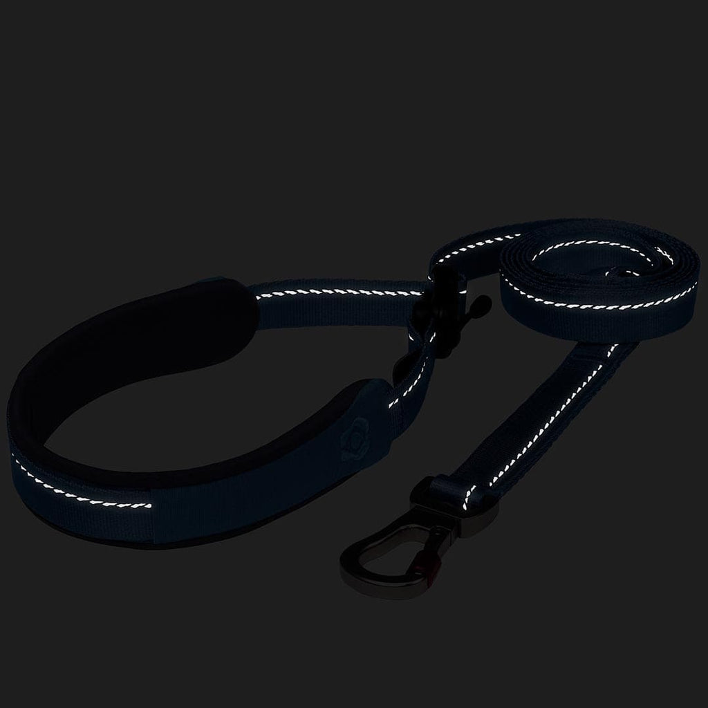 Reflective dog leash on a black background