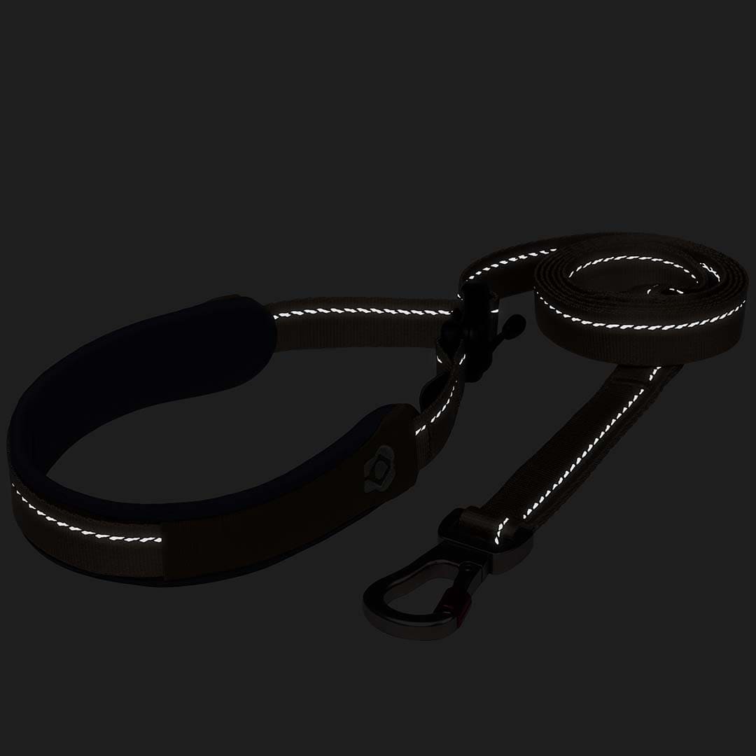 Black dog leash with reflective material on a black background