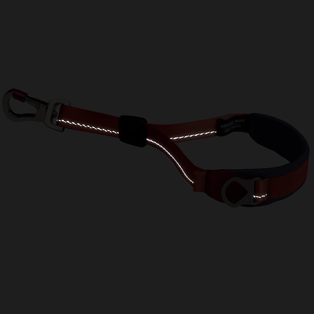 Brown dog leash with clip on a black background
