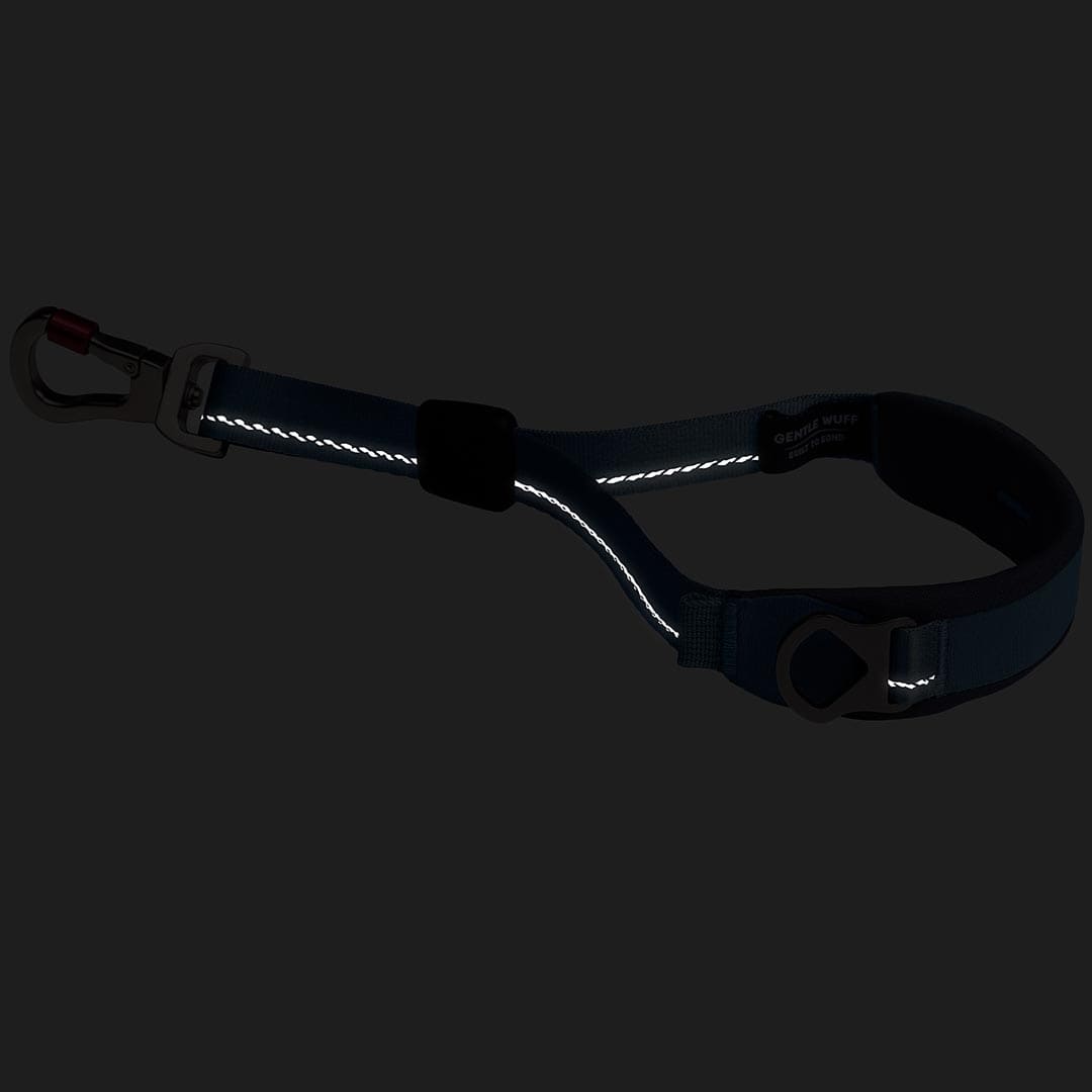 Black dog leash with reflective material on a black background