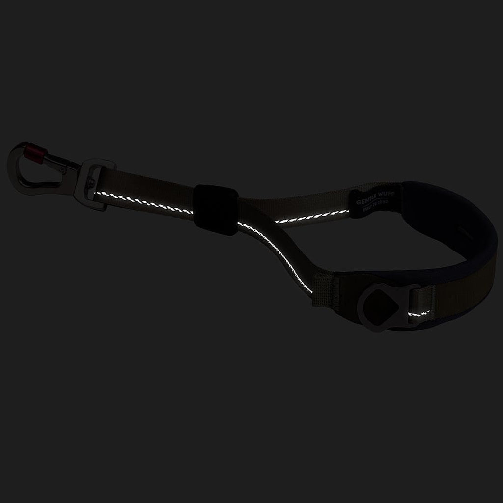 Reflective dog leash with carabiner on a black background