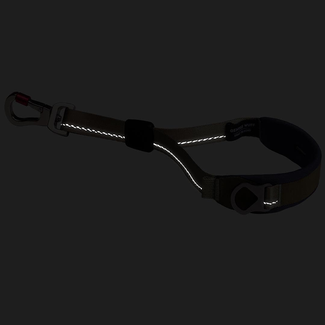 Reflective dog leash with carabiner on a black background