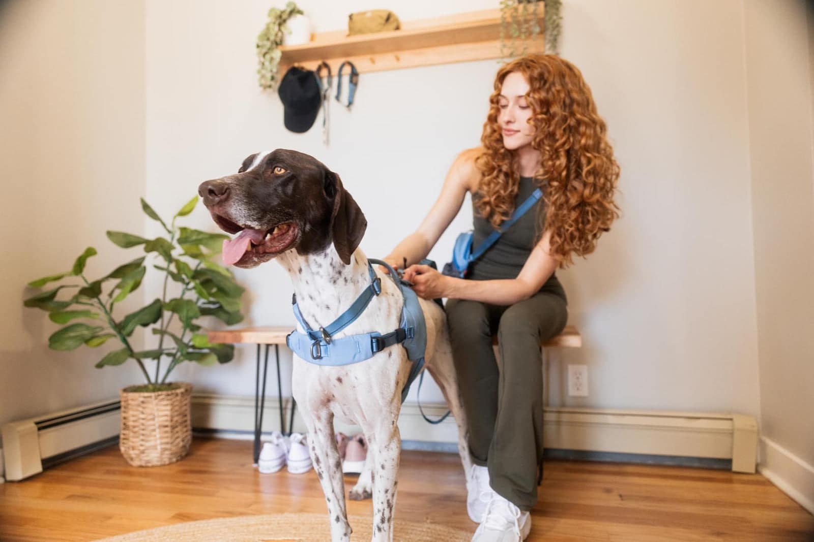 How Often Should You Walk Your Dog? A Complete Guide