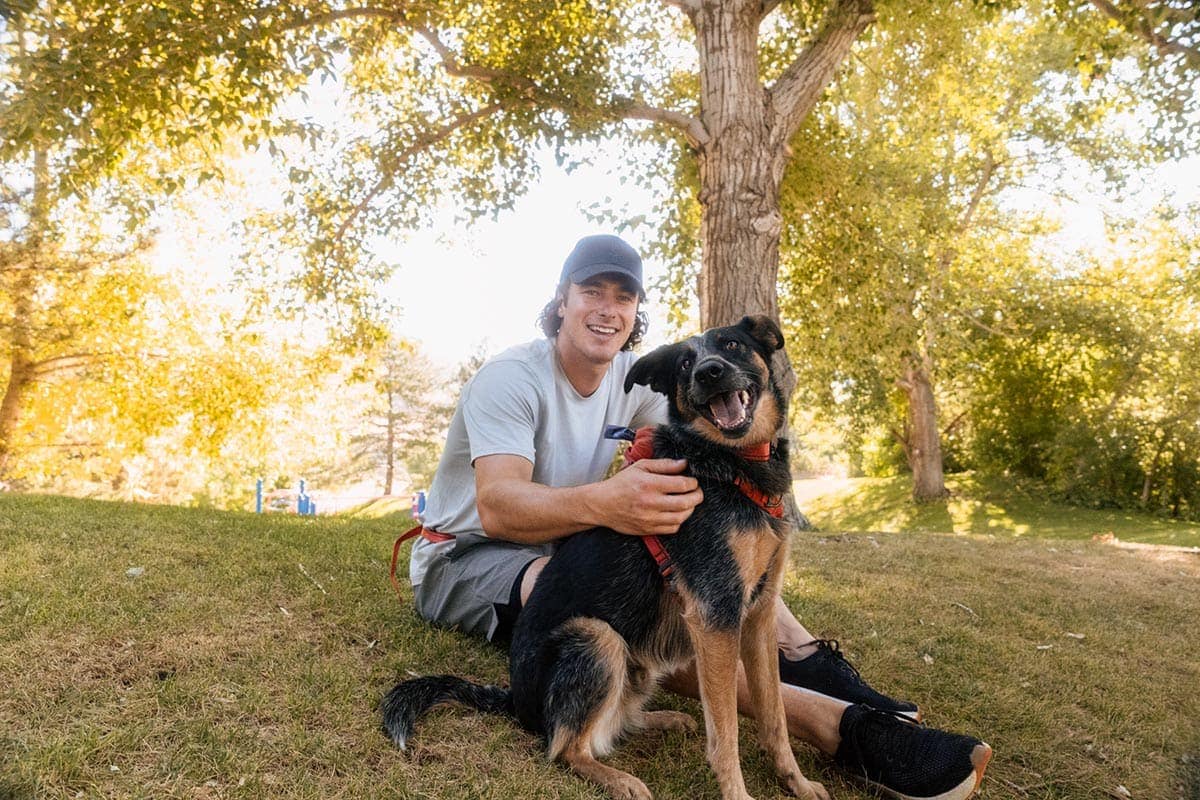 Why Durable Dog Gear Matters for Everyday Walks